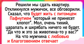 19 пушистых примеров того, что с питомцами жизнь может заиграть новыми красками