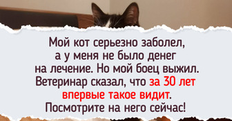 20+ человек поделились фотографиями, полными радости, и неожиданно согрели тысячи сердец