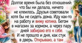 18 историй о маленьких чудесах, которые скрасили серые будни