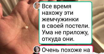 15 фото, которые хочется прокомментировать словами: «Ну и дела»