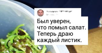 16 доказательств того, что, даже если вы обожаете лето, у него всегда найдется способ вас взбесить