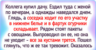 17 историй о том, что жизнь на даче и скука – понятия несовместимые