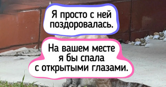 17 котов, которые всем своим видом показывают, кто в этом доме настоящий хозяин
