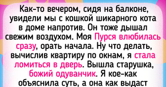 14 курьезных историй, которые доказывают, что без кота и жизнь не та