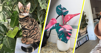 17 умниц, которые сумели превратить простой кусок шерсти во что-то нежное и уютное