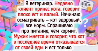 19 питомцев, которые устроили своим хозяевам такую заварушку, что мама не горюй