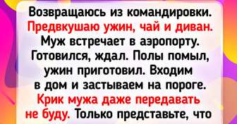 15+ четвероногих сорванцов, жизнь с которыми полна неожиданностей