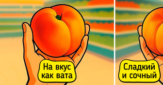 9 советов о том, как выбрать самые спелые и вкусные фрукты