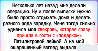 17 свекровей, с которыми даже спокойный день превращается то ли в драму, то ли в комедию