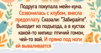 20+ историй о спасенных котиках, которые пережили трудные дни — и теперь мурчат от счастья