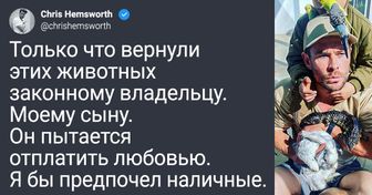 16 знаменитостей, которые не только талантливы и красивы, но еще и чувством юмора блещут