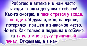 20+ животных, которые без проблем прошли бы тест на интеллект