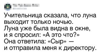 15 твитов от тех, кто не понаслышке знаком с человеческой глупостью