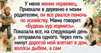 20+ истории от людей, которые держат хозяйство и не представляют жизнь иначе