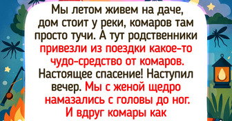 17 душевных дачных историй, которые пахнут первой зеленью и дымком от шашлыка