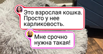 20+ животных, которые случайно превратили обычное фото в шедевр