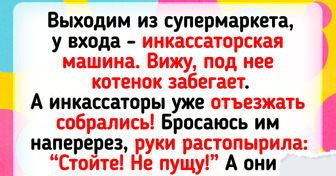 20+ котиков, которых ждала незавидная судьба, но им встретился добрый человек