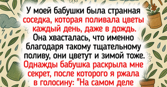 15 историй о неугомонных соседях, после которых очень хочется перебраться на необитаемый остров