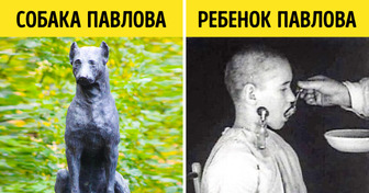 9 неоднозначных экспериментов с участием детей, которые вызывают бурю праведного возмущения