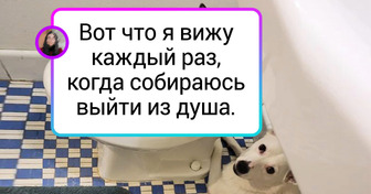 18 доказательств того, что все пушистики могут преданно дружить