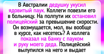 12 историй, которые повышают выработку адреналина