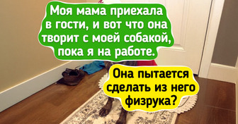 16 фотографий и историй, которые идеально иллюстрируют фразу «в гостях у мамы»