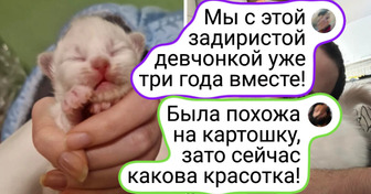 Невозможно не улыбнуться: 18 трогательных фото хозяев и их питомцев «тогда и сейчас»