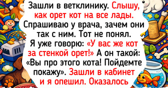 16 историй о том, что на приеме у ветеринара бывает смешнее, чем в кино