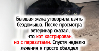 25 животных с чудинкой, которые одним своим присутствием делают нашу жизнь замурчательнее