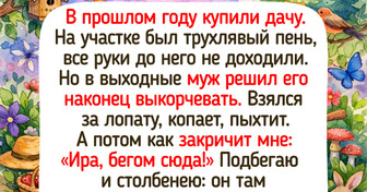 17 фото и историй о дачных находках, которые принесли людям кучу маленьких радостей