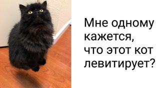 20 фото от людей, которым вечно что-то мерещится