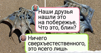 13 человек, которых любопытство привело к маленькому открытию
