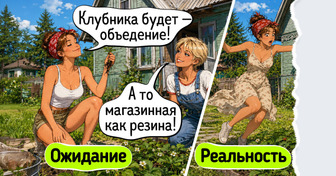 19 теплых комиксов о лете, в которых слышатся трели соловья и аромат свежей клубники