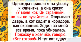 20+ животных, которые для их людей не просто котики и собачки, а самые близкие существа
