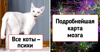 11 крутых научных открытий 2021 года, о которых наши дети будут читать в учебниках