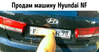 12 объявлений, авторы которых отличились своим остроумием. Даже слишком