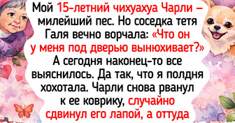 17 питомцев-старичков, для которых годы — не помеха маленьким радостям и большой любви