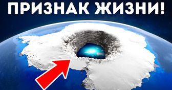 Подо льдами Антарктиды нашли нечто невероятное