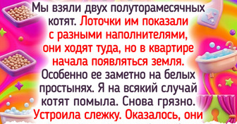 19 питомцев, которые устроили своим хозяевам такую заварушку, что мама не горюй