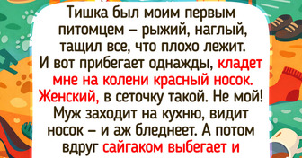 20+ теплых историй и фото о первом питомце, который остается в памяти на всю жизнь