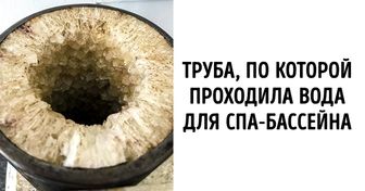 15 доказательств того, что этот мир еще способен нас удивить