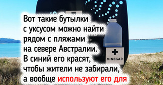 15 фото и историй со всего света, после которых так и хочется сказать: «Вот это поворот!»