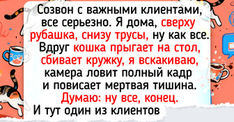 15+ любимых клиентов, которых весь коллектив поминает только добрым словом