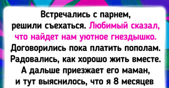 14 историй о людях, которые своим нахальством даже через экран поражают