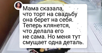 15+ человек, которые побывали на свадьбе и нахватались впечатлений на всю жизнь