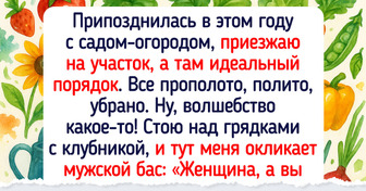 19 человек, которые ехали на дачу, а попали в анекдот какой-то