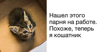 23 доказательства того, что любимое занятие Вселенной — устраивать для нас мини-сюрпризы