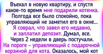 15+ историй о питомцах, которые не оставили хозяев без приключений