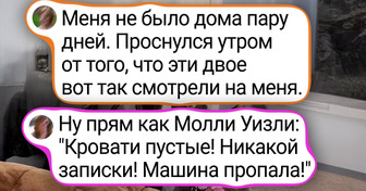 16 мохнатых, у которых харизма так и прет