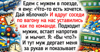 17 историй об отпуске, которые выглядят как готовый сценарий для уморительного ситкома
